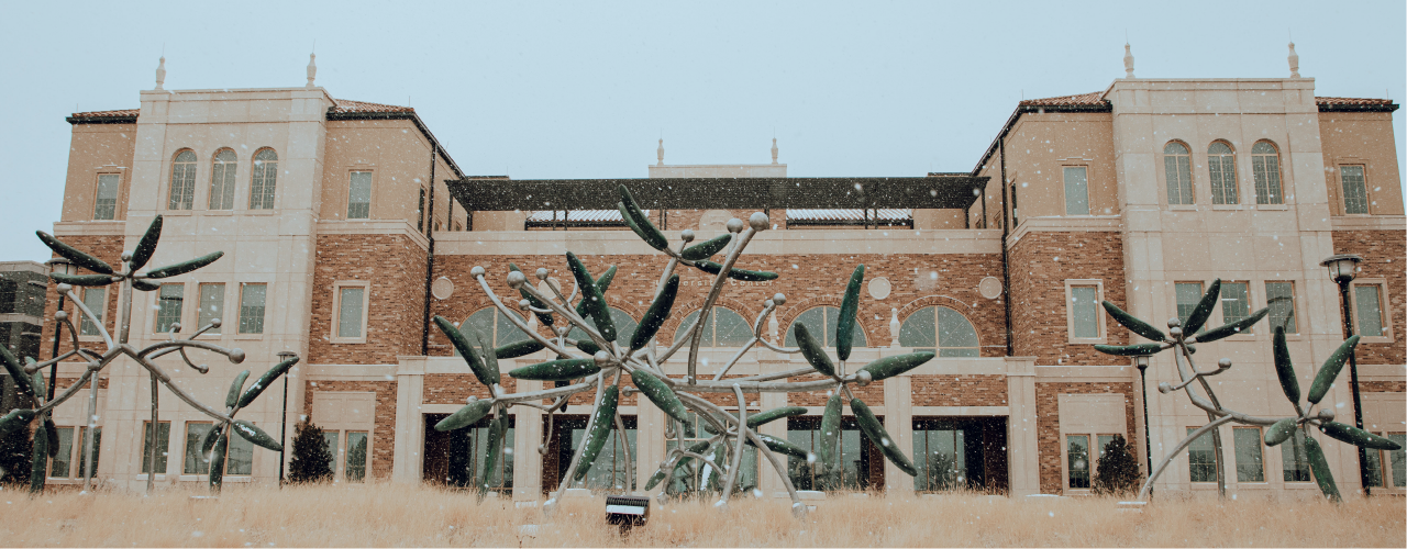 University Center with snow